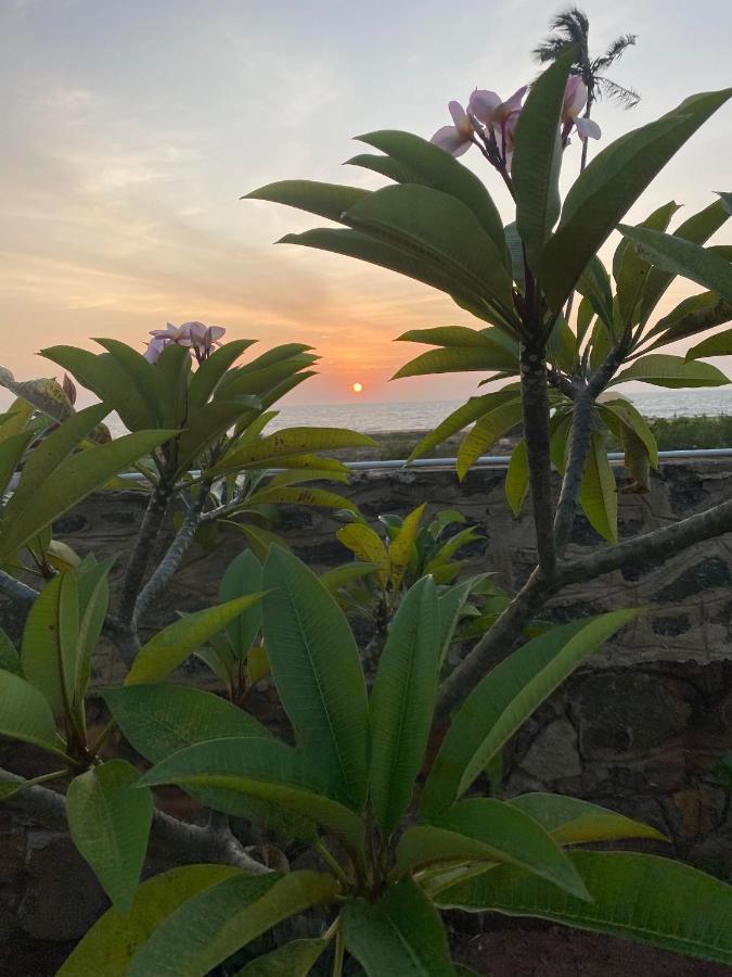 Spice Of Ceylon Otel Chilaw Dış mekan fotoğraf