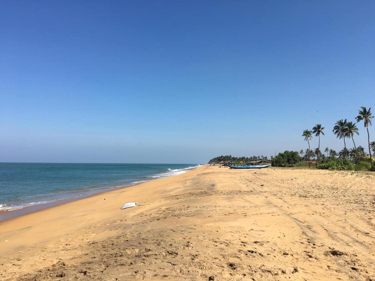 Spice Of Ceylon Otel Chilaw Dış mekan fotoğraf