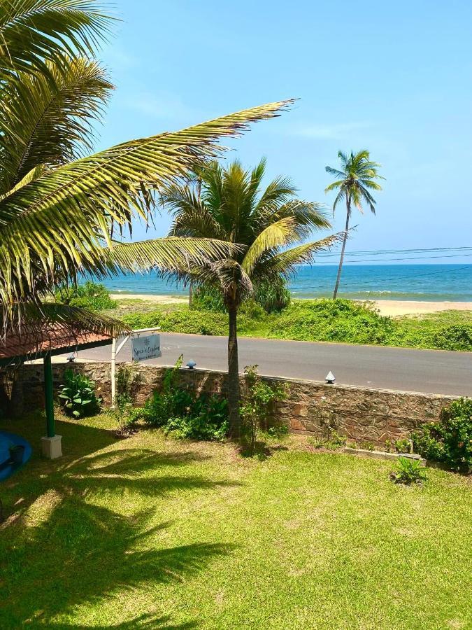 Spice Of Ceylon Otel Chilaw Dış mekan fotoğraf