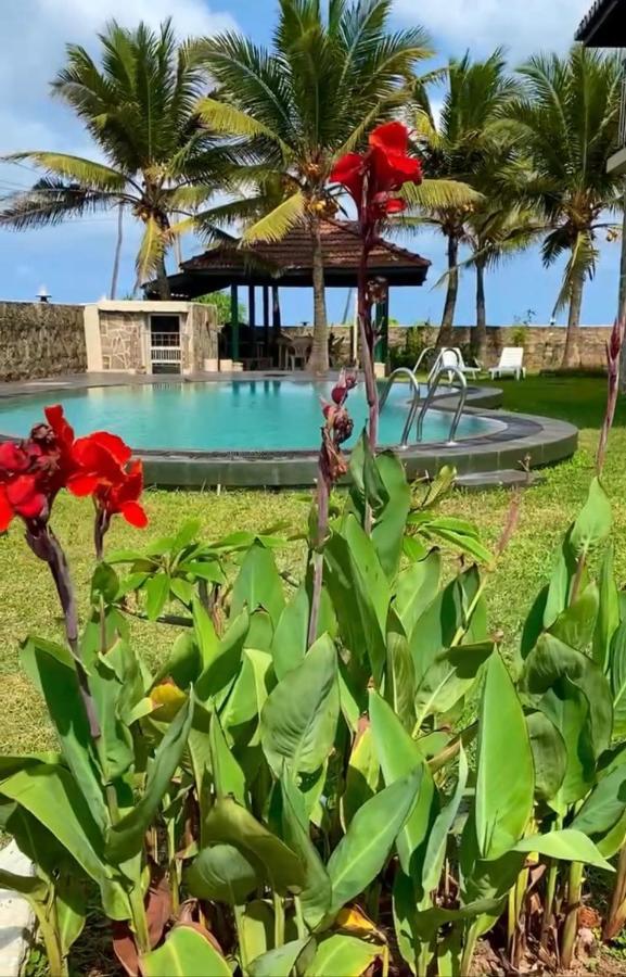Spice Of Ceylon Otel Chilaw Dış mekan fotoğraf